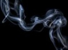 Kwikfynd Drain Smoke Testing
elizabethnorth